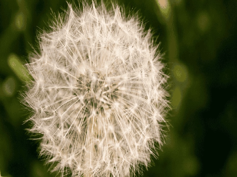 试管代孕医疗环境